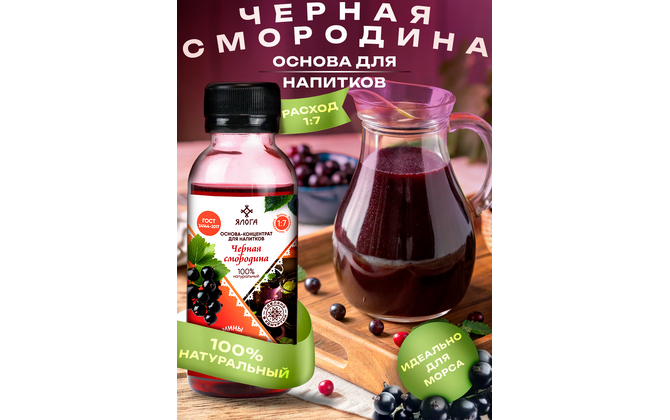 Основа-концентрат на натуральном соке 